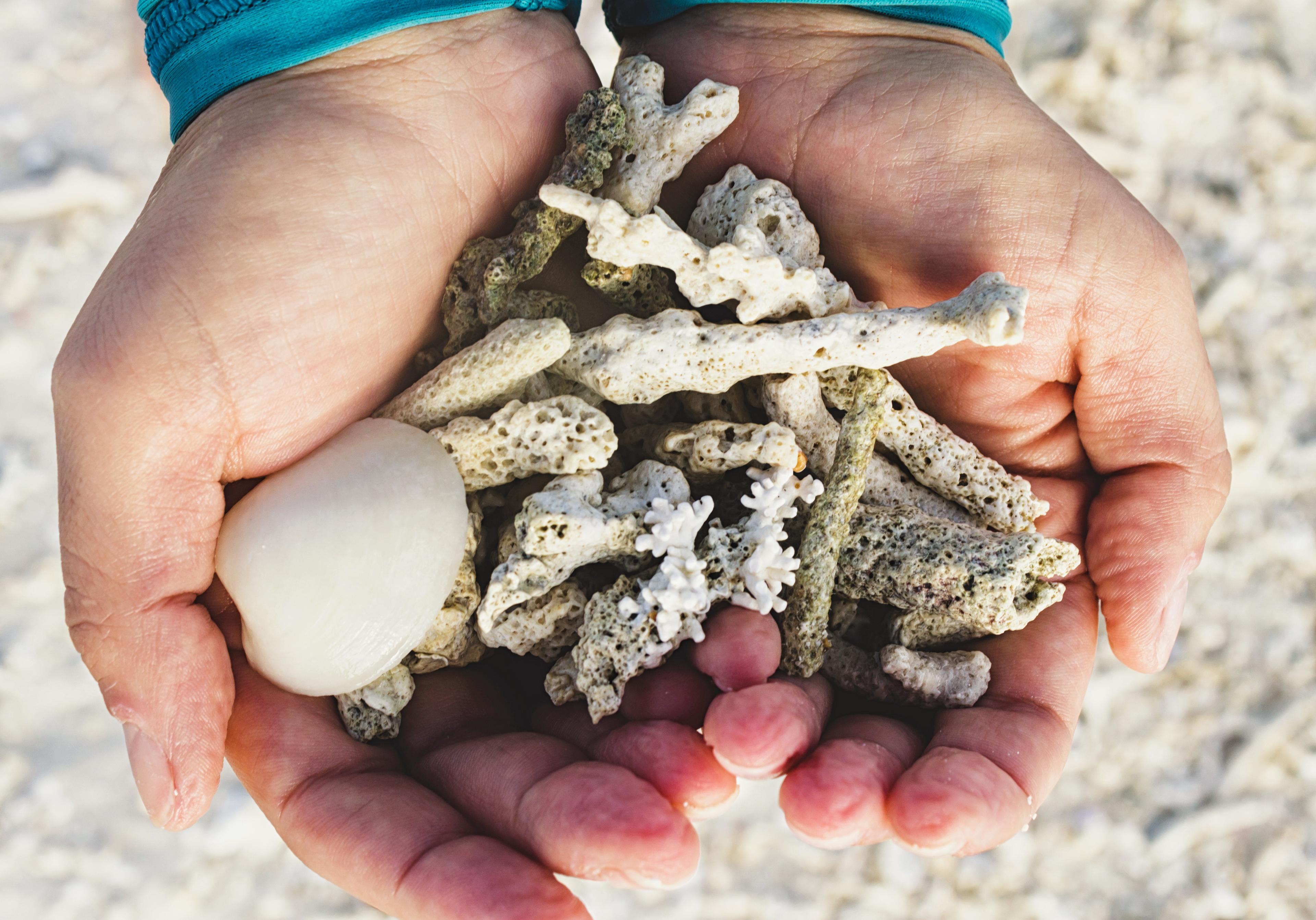 A photo of Crushed Coral as an Aquarium Substrate