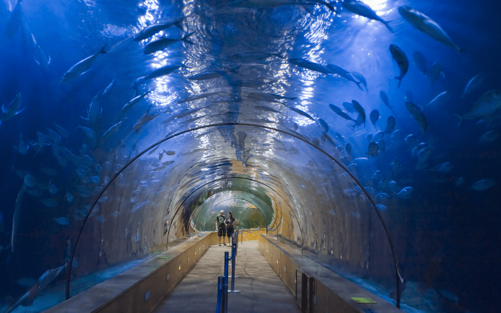 Valencia Aquarium, the largest in Europe