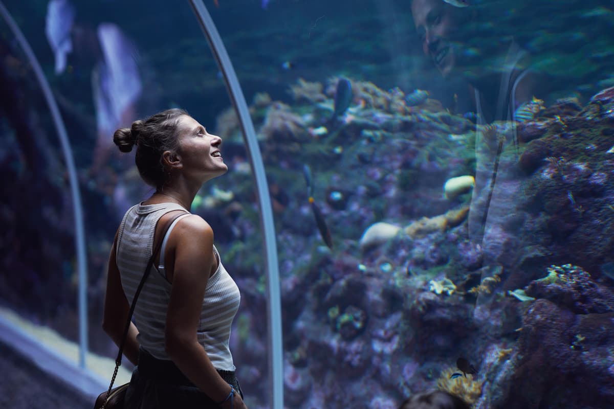 Salary Expectations for Aquarists An image of Salary Expectations for Aquarists